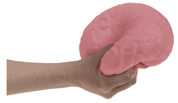 XL Quetschgehirn (15,5 cm)