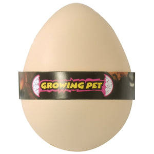 Wachsendes Dino-Ei | Growing Pet Dinosaur Egg