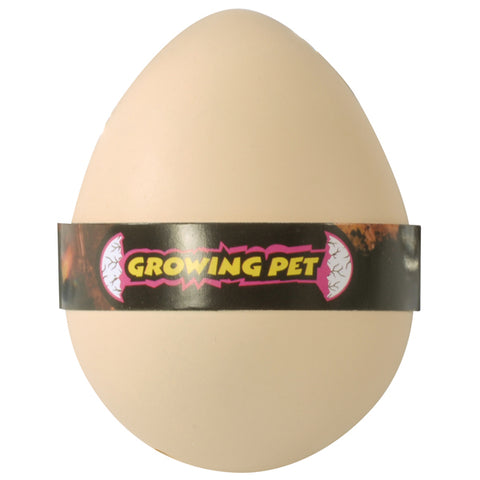 Wachsendes Dino-Ei | Growing Pet Dinosaur Egg
