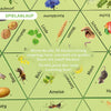 Learning Star Natur 8+