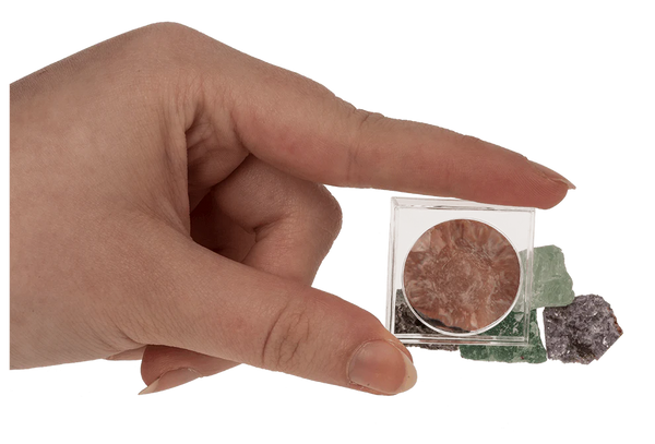 Mineralsteine in Vergrößerungsbox mit Begleitheft