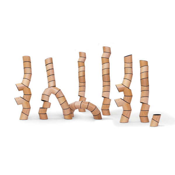 Loggos Bausteine XL Set (75 Teile / Buche)