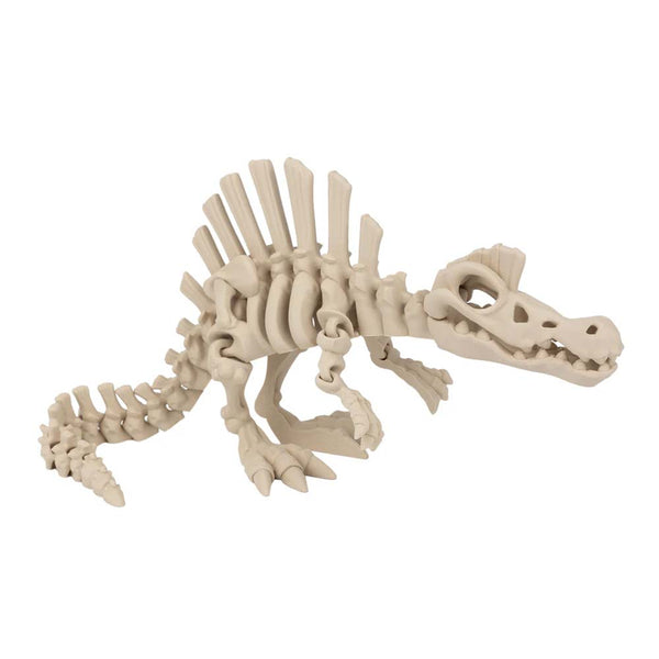 3D Flexi Fossil Dino