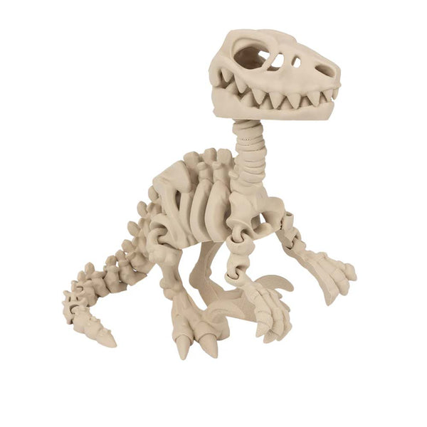 3D Flexi Fossil Dino
