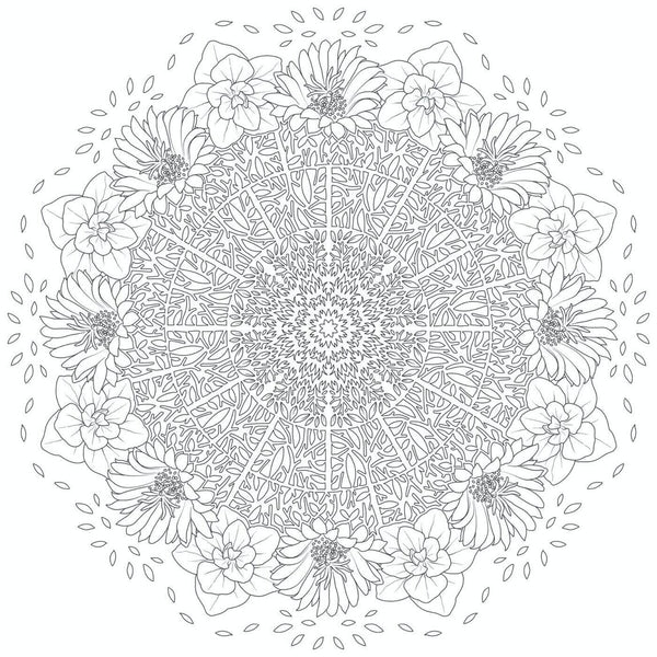 Mandalas fleurs Malbuch | Blumen Mandalas