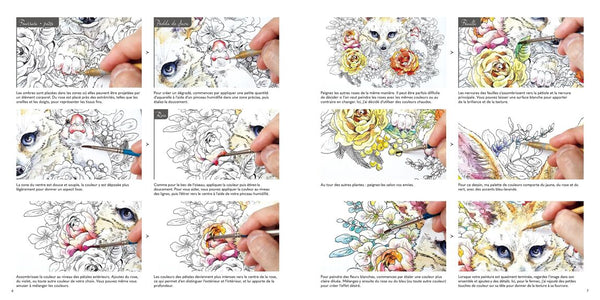 Ken Matsudas Kreaturen Malbuch