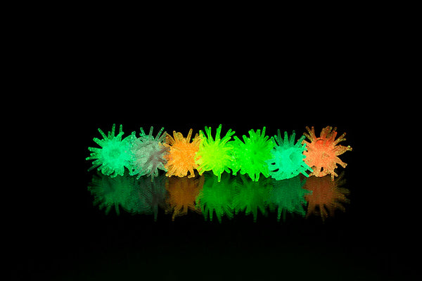 Fensterläufer 7er Set in Dose | Whacky Window Walkers GLOW IN THE DARK
