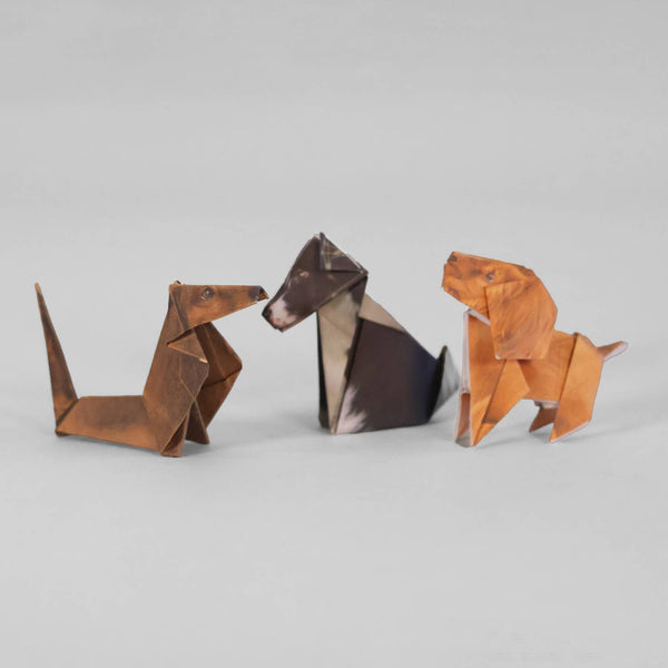 Papierwelpen Origami DIY-Set | PAPER PUPS