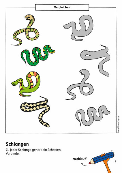 Vorschulblock – Konzentration und Wahrnehmung