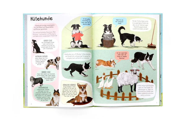 Das Hunde-Buch | Zu Besuch bei Hunden aus aller Welt