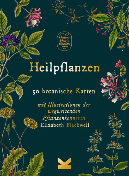 Heilpflanzen | 50 botanische Karten