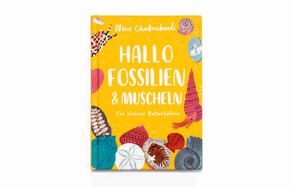 Hallo Fossilien & Muscheln | Ein kleiner Naturführer