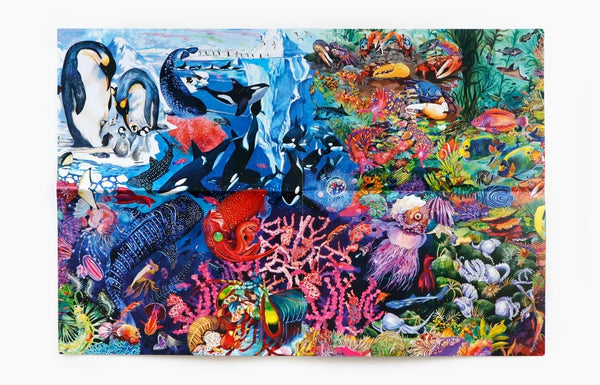 Abenteuer Ozean | Ein Team-Puzzle