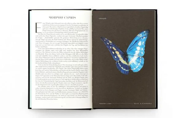 Wunderwelt der Insekten