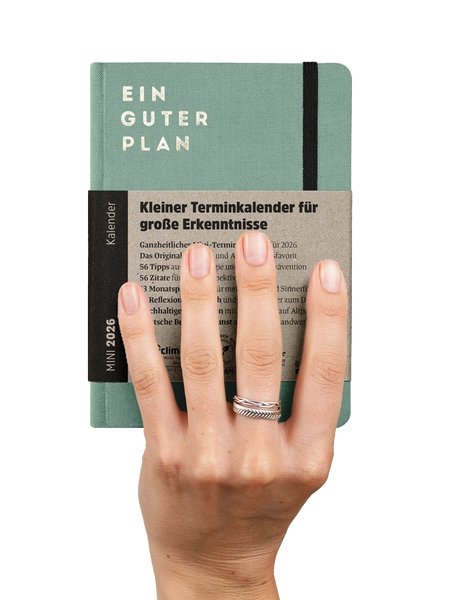 Ein guter Plan Mini 2026 Altrosa