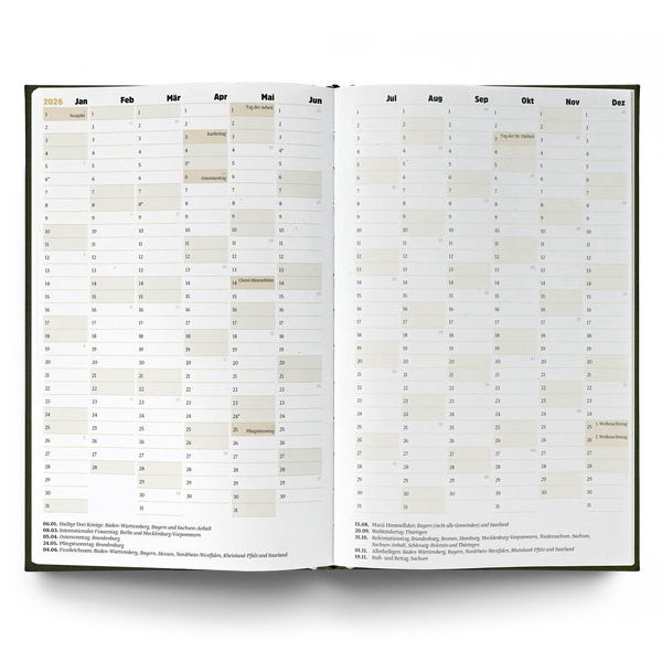 Ein guter Plan 2026 Bernstein Dunkelgelb