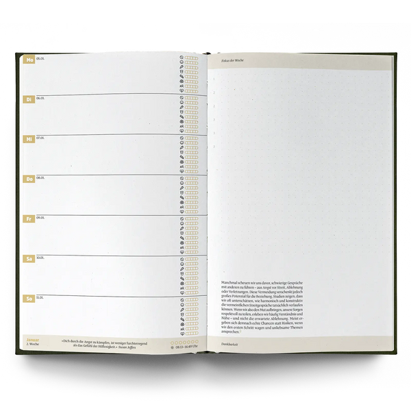 Ein guter Plan 2026 Bernstein Dunkelgelb