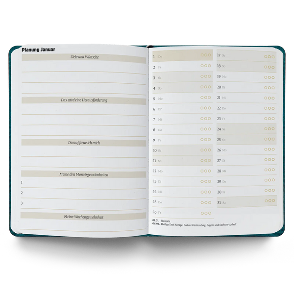 Ein guter Plan Mini 2026 Altrosa