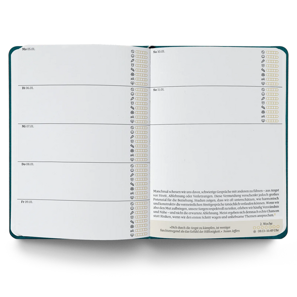 Ein guter Plan Mini 2026 Altrosa