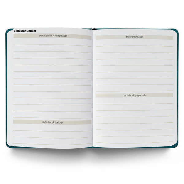 Ein guter Plan Mini 2026 Altrosa