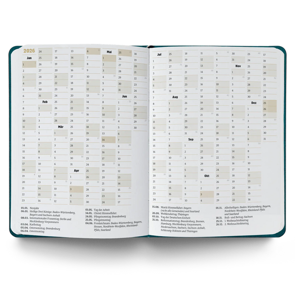 Ein guter Plan Mini 2026 Altrosa