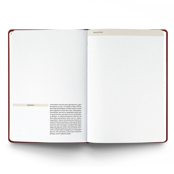 Ein guter Plan Pro 2026 Gelb