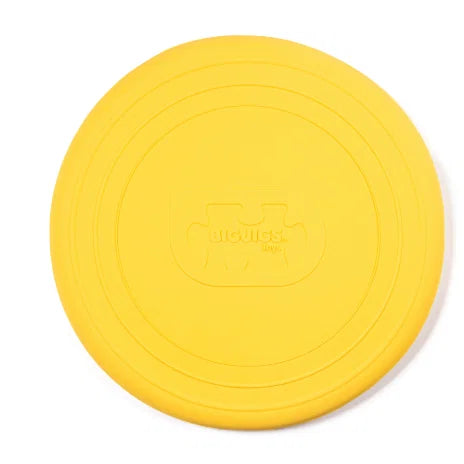Frisbee - Faltbare Flugscheibe | Foldable Flyer