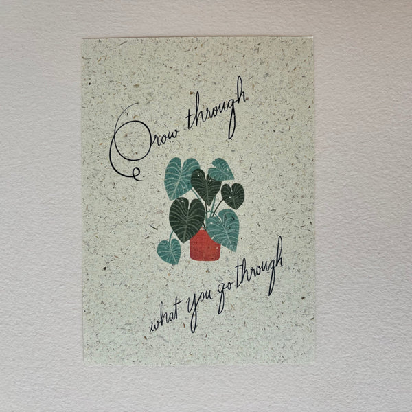 Postkarte Grow through what you go through