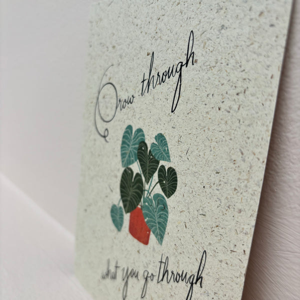 Postkarte Grow through what you go through