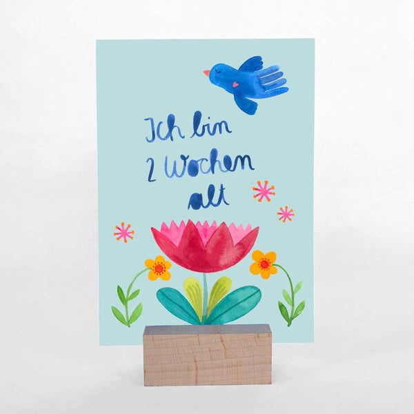 Meilensteinkarten Baby *Hallo Welt*