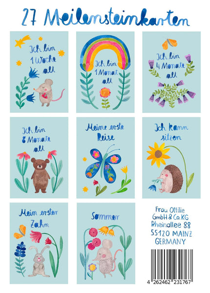 Meilensteinkarten Baby *Hallo Welt*