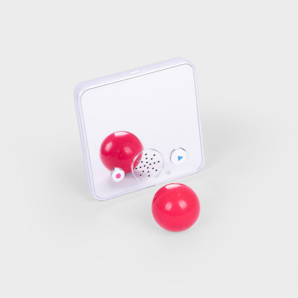 Sound Bank Plus Spiegel | Aufnahmegerät