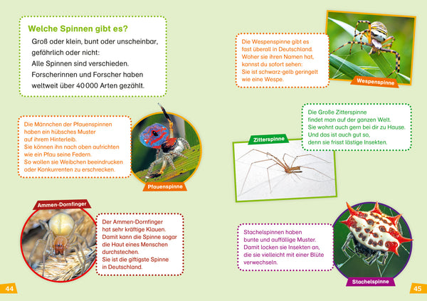 Spinnen WAS IST WAS Erstes Lesen Band 24