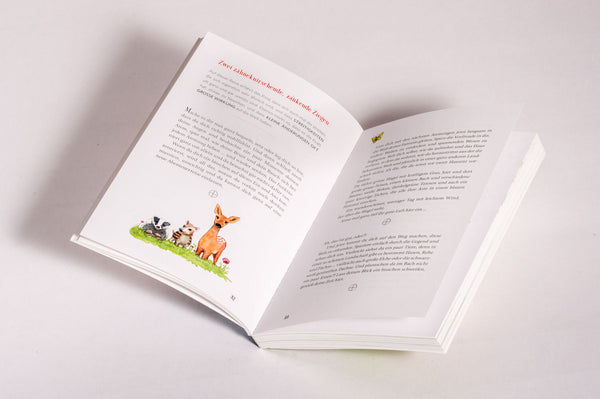 Drachenboot & Donnerkeil (Fantasiereisen)