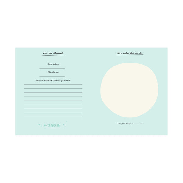 Mein Schwangerschaftstagebuch (deutsch) Schwangerschaftsbuch von Pleased to meet