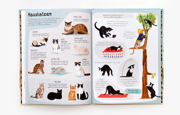 Das Katzen-Buch | Zu Besuch bei Katzen aus aller Welt