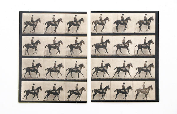 Fotografisches Gedächtnis - Ein Memo-Spiel