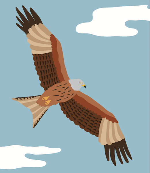 Ornithorama
